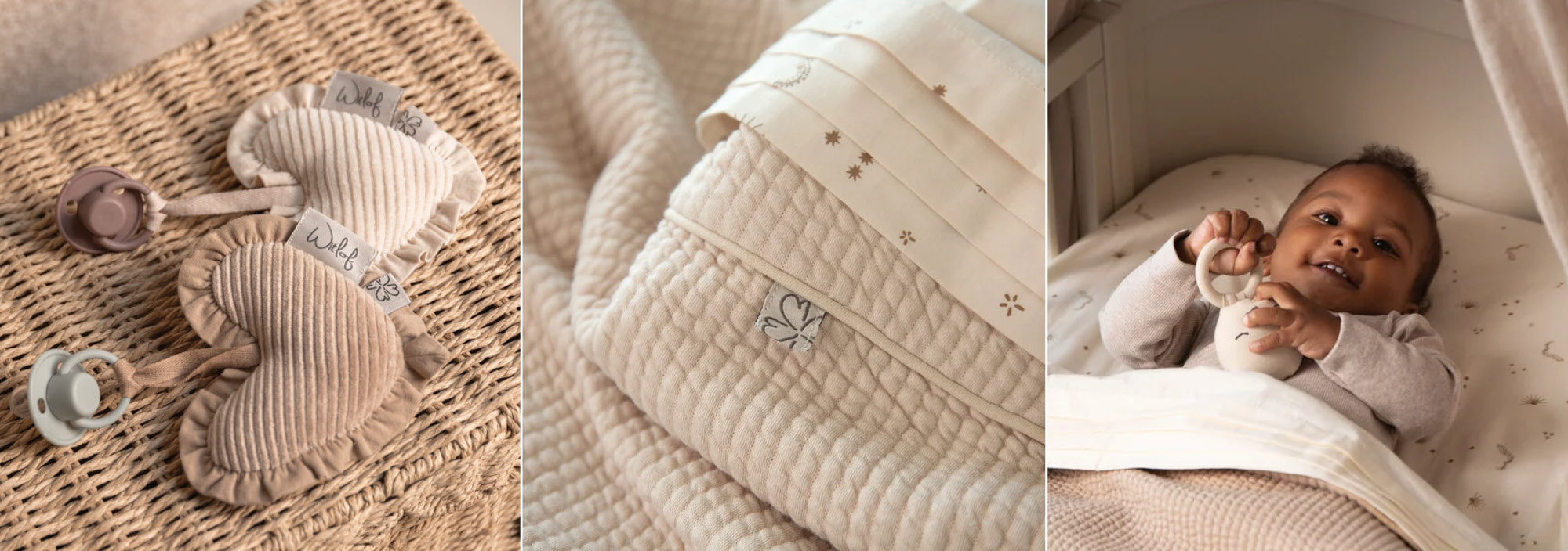 Witlof For Kids Witlof For Kids