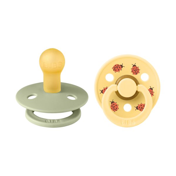 BiBs Studio Colour Fopspeen - Rond - 2 Stuks - 6-18 Mnd - Ladybug Sage Mix