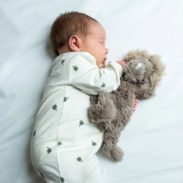 That's Mine Houston Verzwaringknuffel Dino - Mini