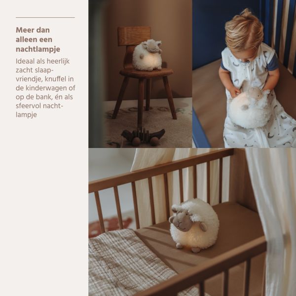 Meyco Nachtlampje - Buddy Sheep - Natural