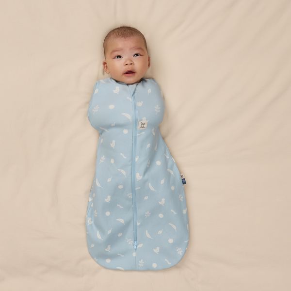 ErgoPouch Ducks Cocoon Inbaker Slaapzak - 0-3 Mnd - 0.2 TOG