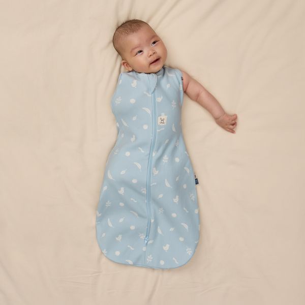 ErgoPouch Ducks Cocoon Inbaker Slaapzak - 0-3 Mnd - 1.0 TOG
