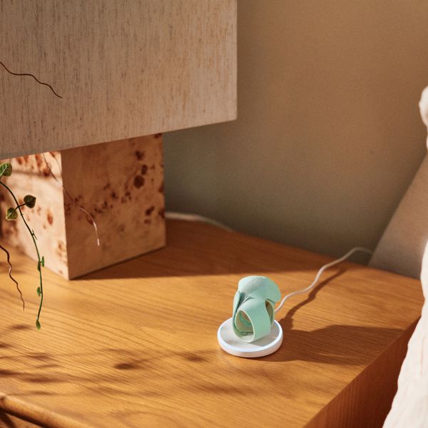 Owlet Dream Sock & Dream Sight Camera - Mint 