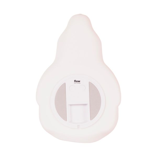 Flow Amsterdam Bjorn Projector