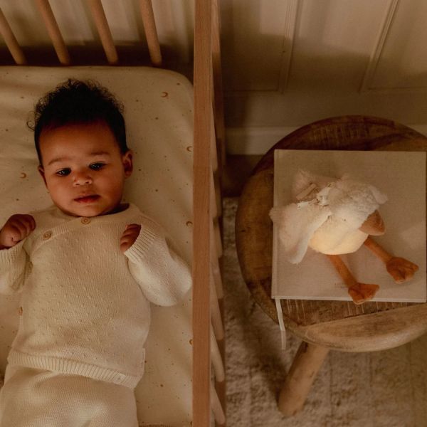 Little Dutch Newborn Knuffelgans Licht & Geluid Little Dutch Newborn Knuffelgans Licht & Geluid