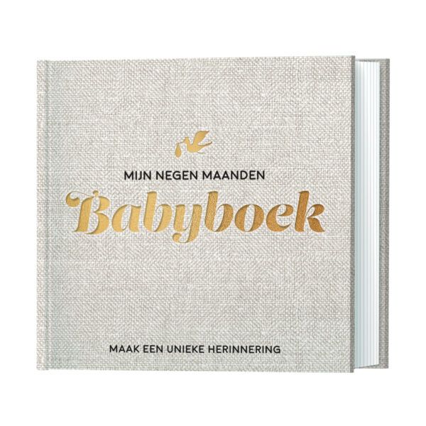 Lantaarn Mijn Negen Maanden Babyboek - Maak Een Unieke Herinnering Lantaarn Mijn Negen Maanden Babyboek - Maak Een Unieke Herinnering
