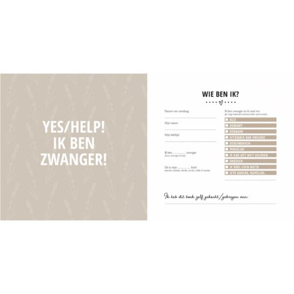 Lantaarn Mijn Negen Maanden Babyboek - Maak Een Unieke Herinnering Lantaarn Mijn Negen Maanden Babyboek - Maak Een Unieke Herinnering
