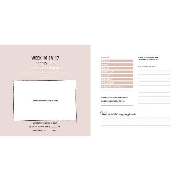 Lantaarn Mijn Negen Maanden Babyboek - Maak Een Unieke Herinnering Lantaarn Mijn Negen Maanden Babyboek - Maak Een Unieke Herinnering