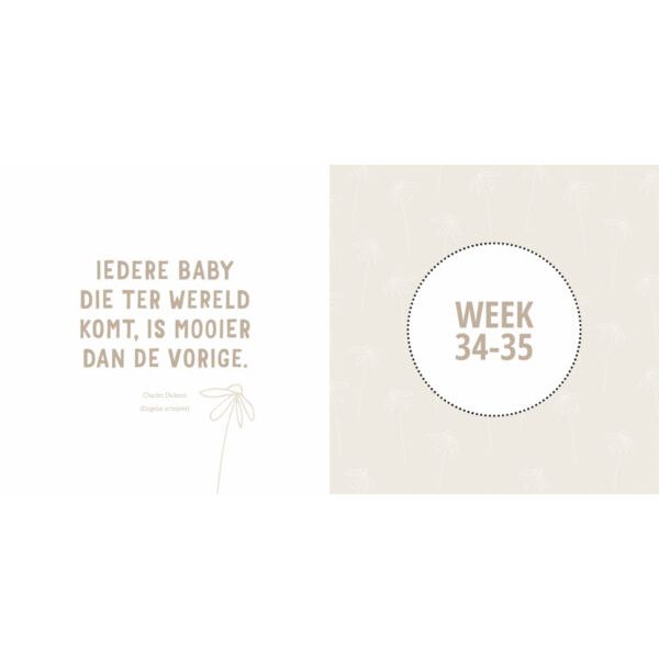 Lantaarn Mijn Negen Maanden Babyboek - Maak Een Unieke Herinnering Lantaarn Mijn Negen Maanden Babyboek - Maak Een Unieke Herinnering