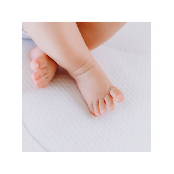 ZZZOO Boxmatras - Beer - 75 x 95 x 6 cm ZZZOO Boxmatras - Beer - 75 x 95 x 6 cm