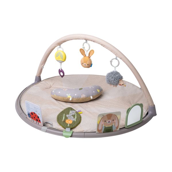 Taf Toys Activity Gym Tummy Time Taf Toys Activity Gym Tummy Time
