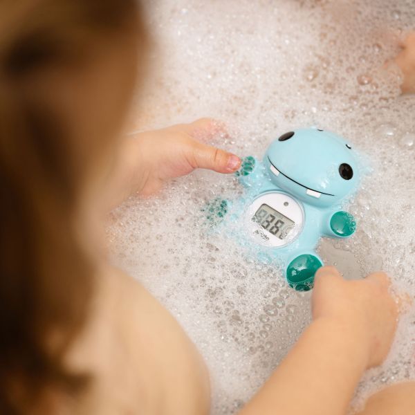 Alecto Thermometer Bad En Kamer - BC11 - Nijlpaard