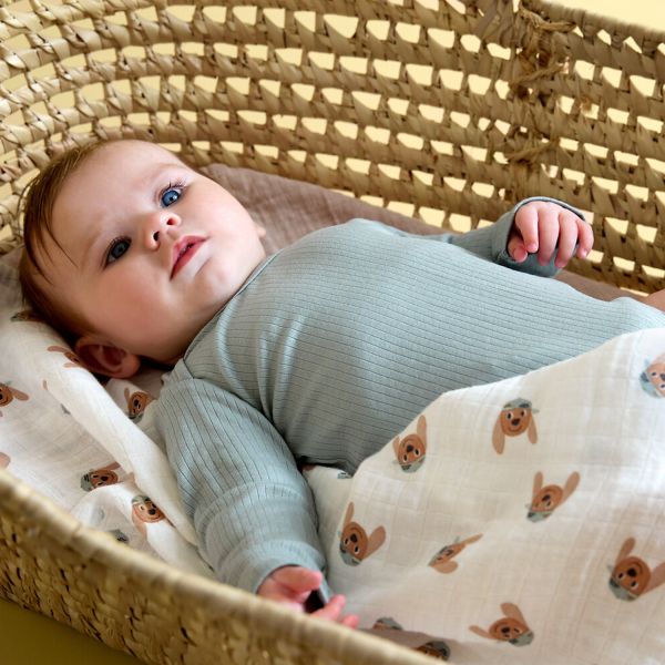 Lässig Swaddle & Burp Multidoek M GOTS Tiny Team Dog – 3 pcs 60 x 60 cm Lässig Swaddle & Burp Multidoek M GOTS Tiny Team Dog – 3 pcs 60 x 60 cm