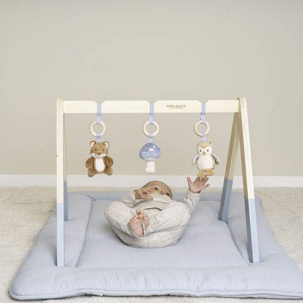 Little Dutch Babygym Forest Friends FSC