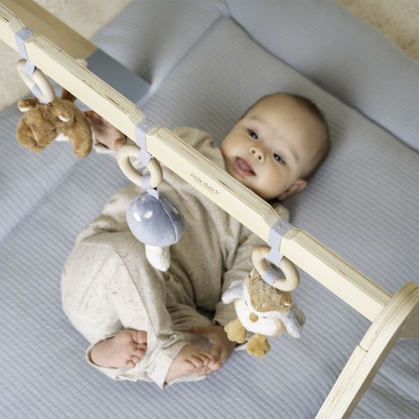 Little Dutch Babygym Forest Friends FSC