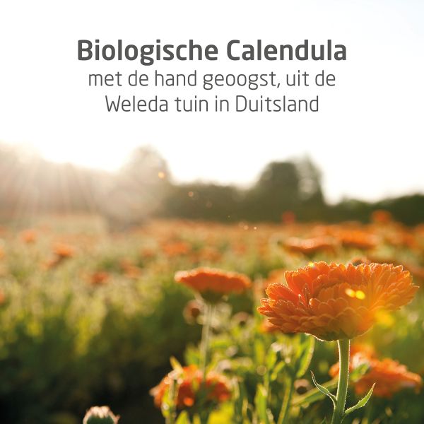 Weleda Calendula Gezichtscreme 50ml