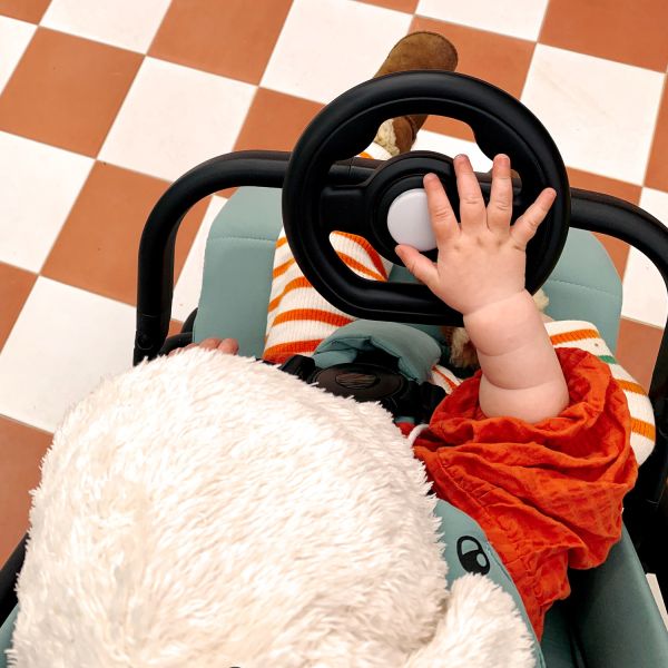 Easywalker Steering Wheel