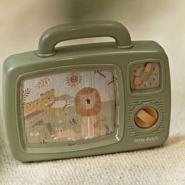 Little Dutch Safari Friends Muziek TV - Groen