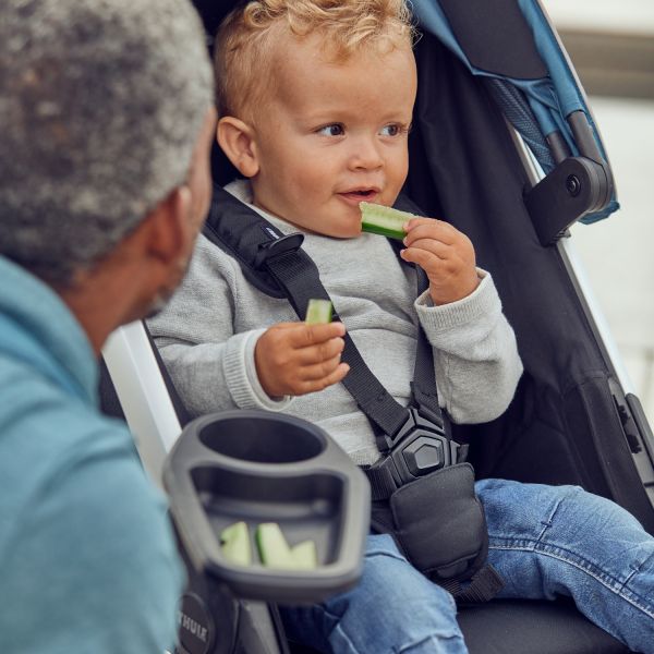 Thule Spring Snack Tray Thule Spring Snack Tray