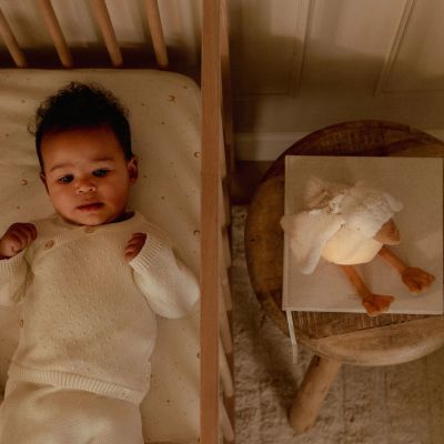 Little Dutch Newborn Knuffelgans Licht & Geluid Little Dutch Newborn Knuffelgans Licht & Geluid