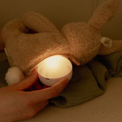 Little Dutch Newborn Knuffelkonijn Licht & Geluid Little Dutch Newborn Knuffelkonijn Licht & Geluid