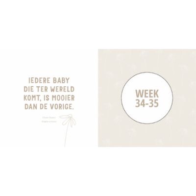 Lantaarn Mijn Negen Maanden Babyboek - Maak Een Unieke Herinnering Lantaarn Mijn Negen Maanden Babyboek - Maak Een Unieke Herinnering