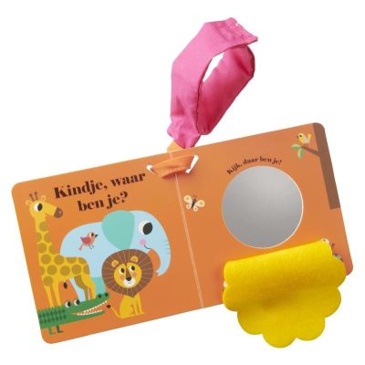 Gottmer Buggyboekje Leeuw, Waar Ben Je?