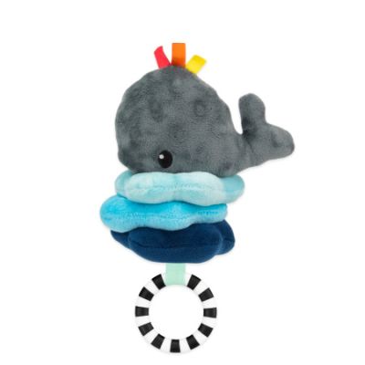Sassy Jitter Whale