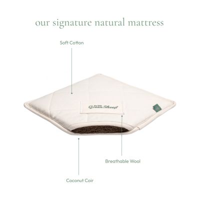 The Little Green Sheep Moses Mandje En Matras Organic Knitted Truffle The Little Green Sheep Moses Mandje En Matras Organic Knitted Truffle