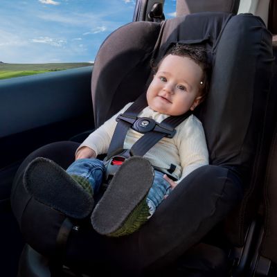 Dooky Seatbelt Safety Clip Dooky Seatbelt Safety Clip