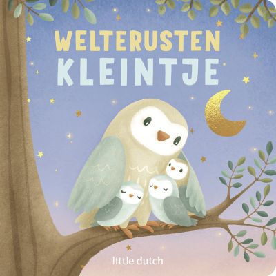 Little Dutch Boekje - Welterusten Kleintje
