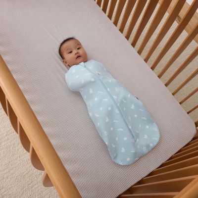 ErgoPouch Cocoon Inbaker Slaapzak - 3-6 Mnd - 2.5 TOG - Ducks ErgoPouch Cocoon Inbaker Slaapzak - 3-6 Mnd - 2.5 TOG - Ducks