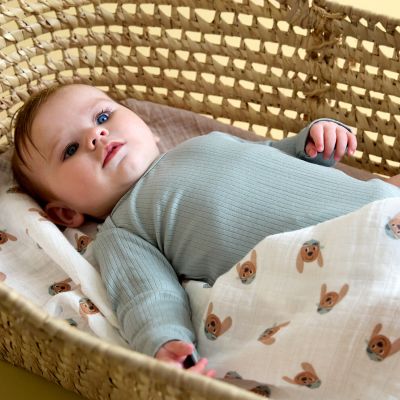 Lässig Swaddle & Burp Multidoek M GOTS Tiny Team Dog – 3 pcs 60 x 60 cm Lässig Swaddle & Burp Multidoek M GOTS Tiny Team Dog – 3 pcs 60 x 60 cm
