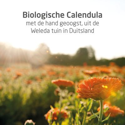 Weleda Calendula Bodycreme 75ml Weleda Calendula Bodycreme 75ml