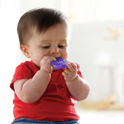 Munchkin Fun Ice Chewer Munchkin Fun Ice Chewer