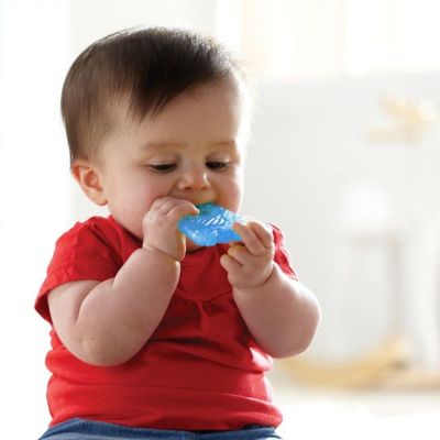 Munchkin Fun Ice Chewer Munchkin Fun Ice Chewer
