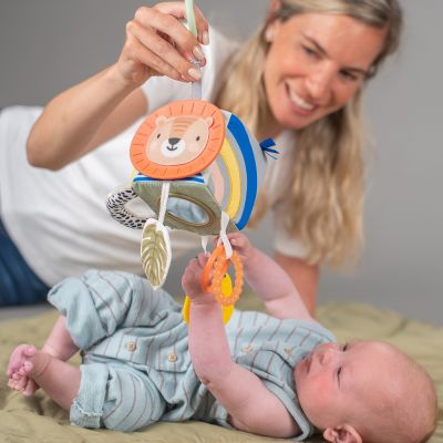 Taf Toys Activiteitenkubus Savannah Taf Toys Activiteitenkubus Savannah
