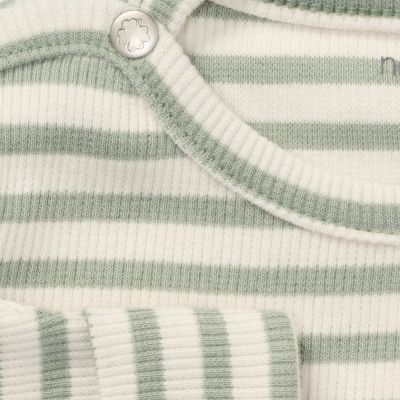 Noppies Shirt Stripe Lange Mouw - Maat 50 - Iceberg Green Noppies Shirt Stripe Lange Mouw - Maat 50 - Iceberg Green