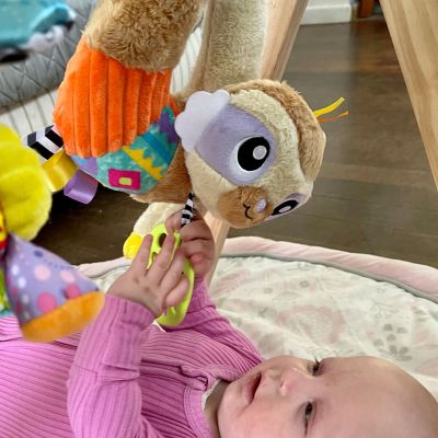 Playgro Sensory Friends Salo Sloth