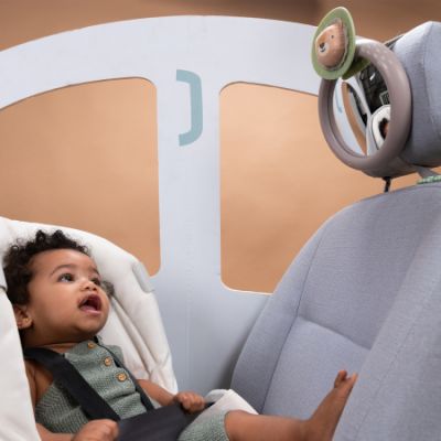 Taf Toys Autospiegel Savannah Taf Toys Autospiegel Savannah