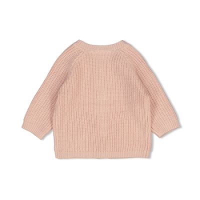 Feetje Vestje Gebreid The Magic is in You Roze 68