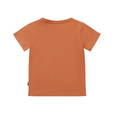 Dirkje T-Shirt Korte Mouw Shark Faded Orange 68