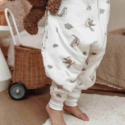 Meyco Baby Slaapzak Jumper Winter Robin Multicolour 80 cm