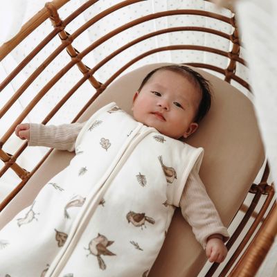 Meyco Baby Slaapzak Met Afritsbare Mouwen Robin Multicolour 60 cm
