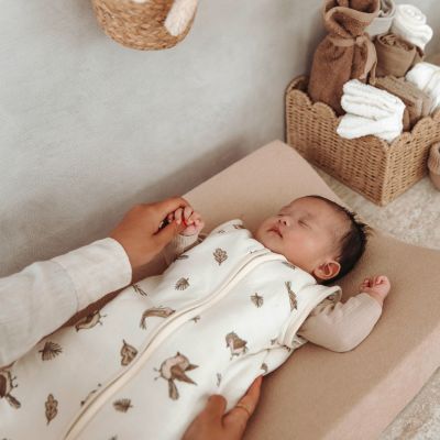 Meyco Baby Slaapzak Met Afritsbare Mouwen Robin Multicolour 70 cm Meyco Baby Slaapzak Met Afritsbare Mouwen Robin Multicolour 70 cm