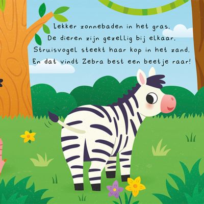 Lantaarn - Kun Je Mij Vinden? Wilde Dieren