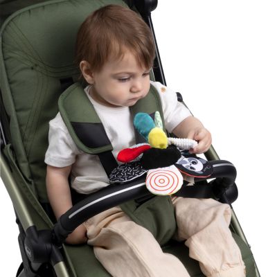 Chicco Sensorische Bloem - Zwart / Wit Chicco Sensorische Bloem - Zwart / Wit
