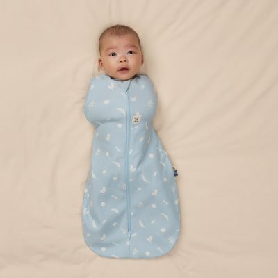 ErgoPouch Ducks Cocoon Inbaker Slaapzak - 0-3 Mnd - 0.2 TOG
