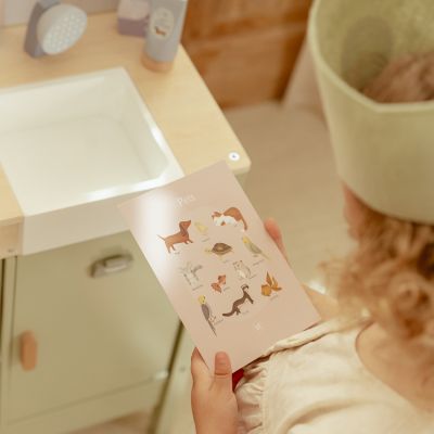 Little Dutch Dierenarts Set 