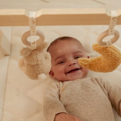 Little Dutch Newborn Babygym
